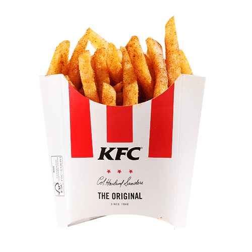 Masala Fries